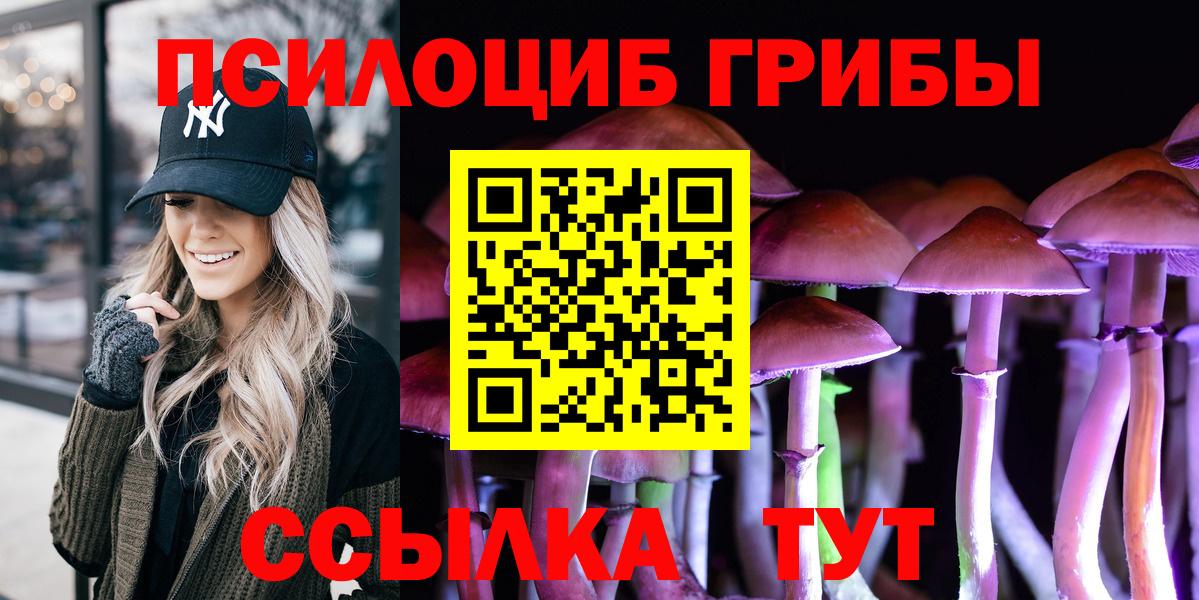 Псилоцибиновые грибы Cubensis Красноармейск