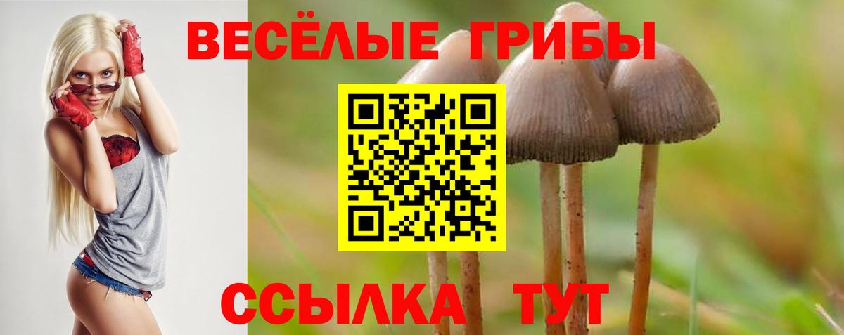 Псилоцибиновые грибы Cubensis  Вход с VPN  Красноармейск 